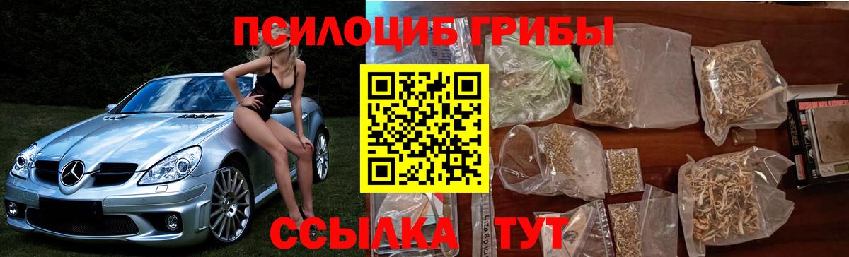 Галлюциногенные грибы прущие грибы  Вход с VPN  Касимов  Галлюциногенные грибы мухоморы 